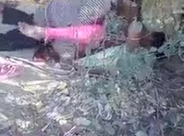 الانفجار العام الهندي مارس الجنس بدون سرج في مومياء يمر مؤلم بهابهي يرتدي مكياج مسنوفمبر خولا