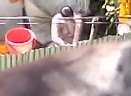 رجل يستحم عارياً في حقل من حوض السباحة